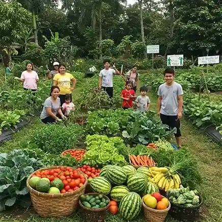 Svamitva Terravana w community organic vegetable gardens 11zon